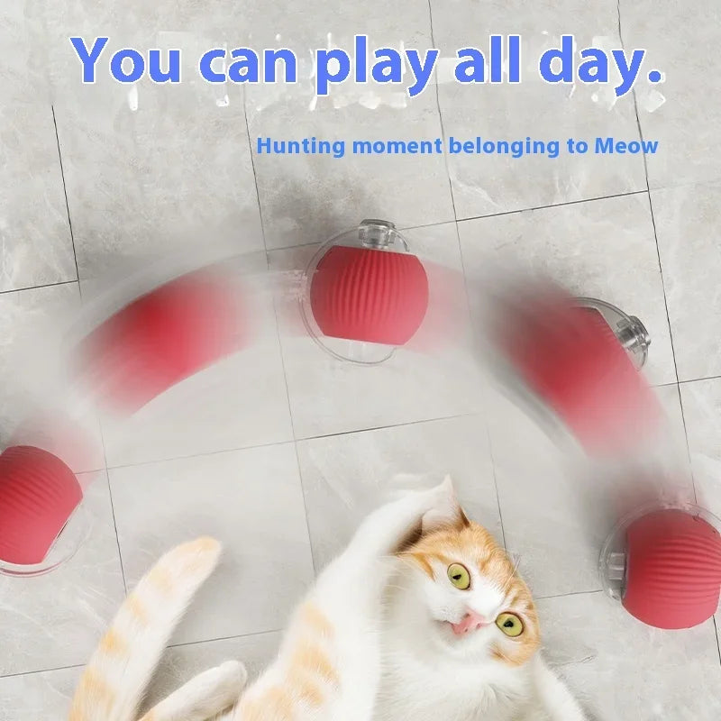 SmartRoll Pet Ball