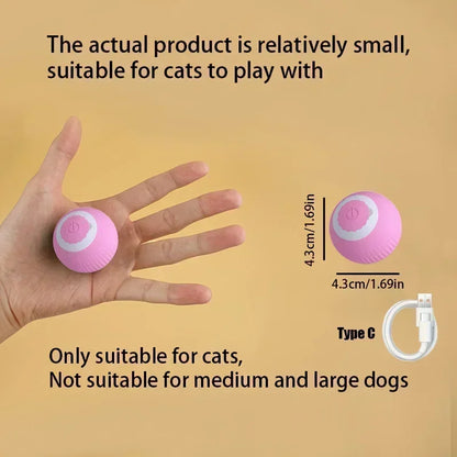 SmartRoll Pet Ball