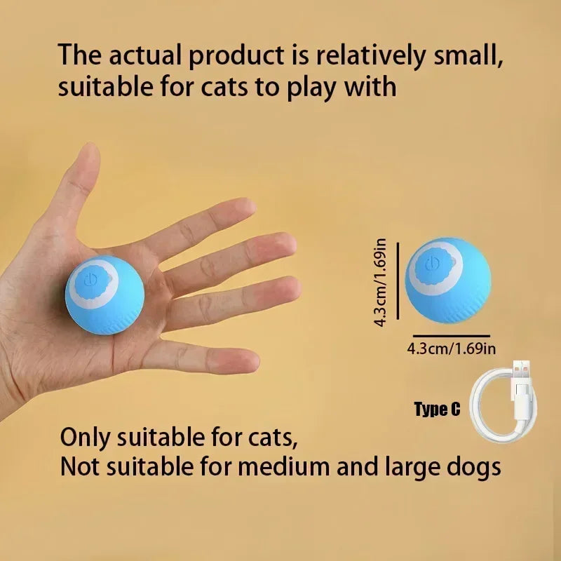 SmartRoll Pet Ball