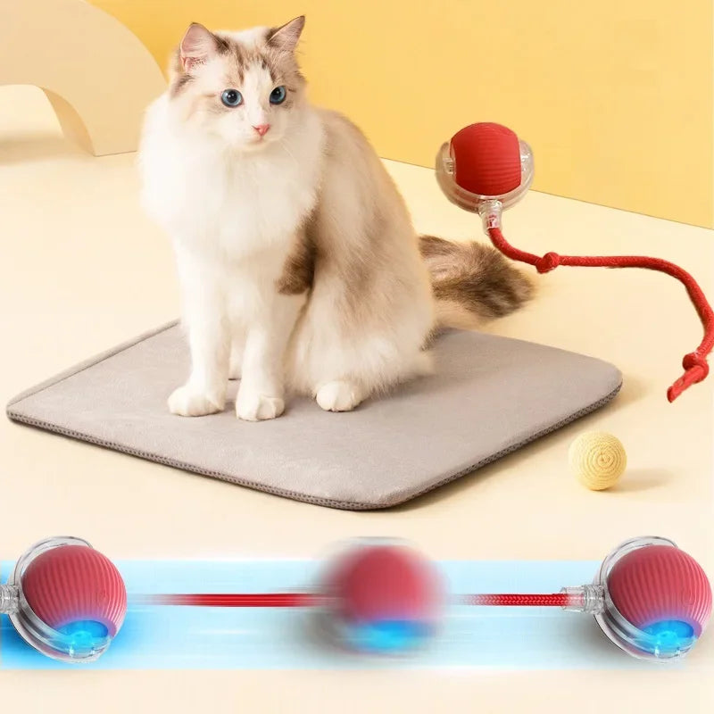 SmartRoll Pet Ball